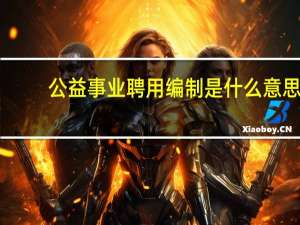 公益事业聘用编制是什么意思