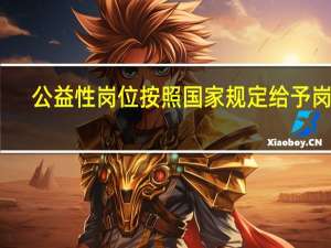 公益性岗位按照国家规定给予岗位（公益性岗位按照国家规定给予）