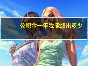 公积金一年我能取出多少