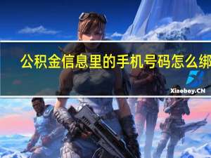公积金信息里的手机号码怎么绑定