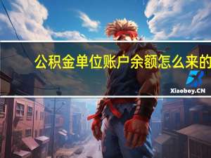公积金单位账户余额怎么来的（怎样查个人公积金余额）