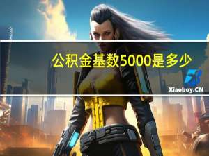 公积金基数5000是多少
