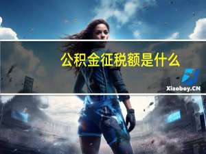 公积金征税额是什么