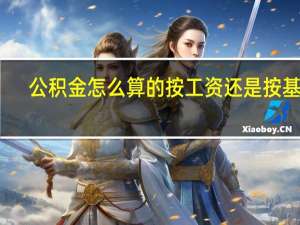 公积金怎么算的按工资还是按基数