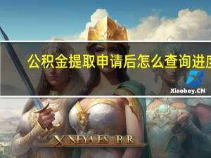 公积金提取申请后怎么查询进度
