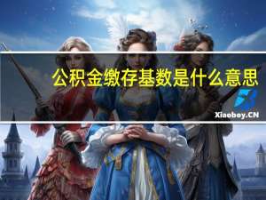 公积金缴存基数是什么意思