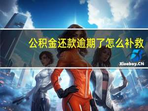 公积金还款逾期了怎么补救