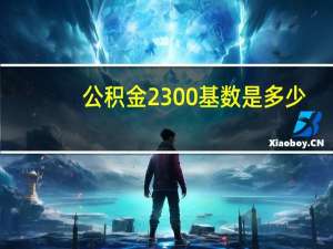 公积金2300基数是多少