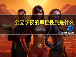 公立学校的单位性质是什么