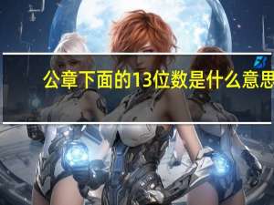 公章下面的13位数是什么意思_