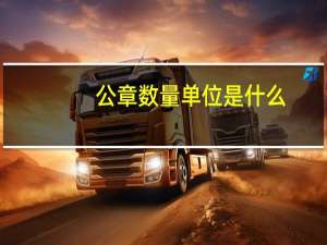 公章数量单位是什么