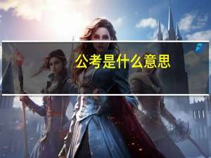 公考是什么意思