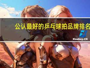 公认最好的乒乓球拍品牌排名