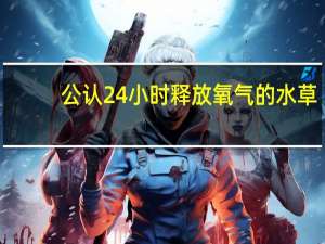 公认24小时释放氧气的水草