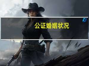 公证婚姻状况