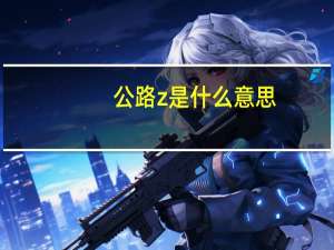 公路z是什么意思