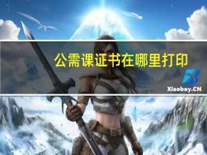 公需课证书在哪里打印
