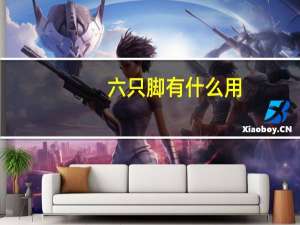 六只脚有什么用（六只脚简介）