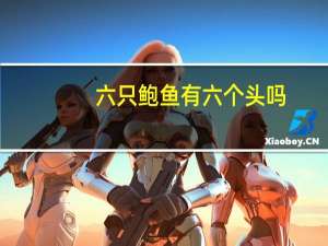六只鲍鱼有六个头吗？