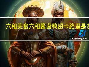 六和美食 六和 酱卤鸭翅卡路里是多少