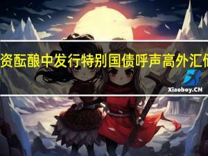 六大行增资酝酿中 发行特别国债呼声高 外汇储备注资成焦点