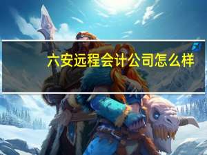 六安远程会计公司怎么样