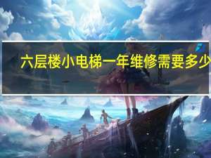 六层楼小电梯一年维修需要多少钱