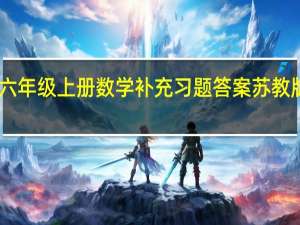 六年级上册数学补充习题答案苏教版05网（六年级上册数学补充习题答案苏教版）