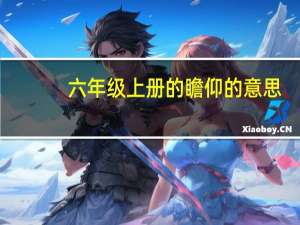 六年级上册的瞻仰的意思