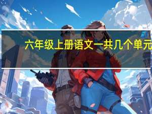 六年级上册语文一共几个单元