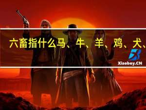 六畜指什么马、牛、羊、鸡、犬、豕