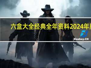 六盒大全经典全年资料2024年版,伸展精选解释落实_WP32.32.68