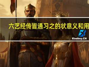 六艺经传皆通习之的状意义和用法