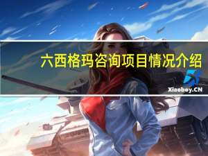 六西格玛咨询项目情况介绍（六西格玛咨询）