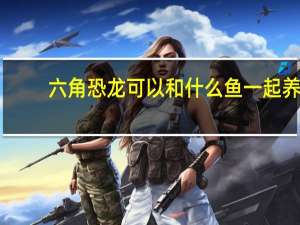 六角恐龙可以和什么鱼一起养