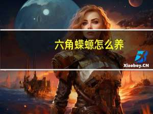 六角蝾螈怎么养