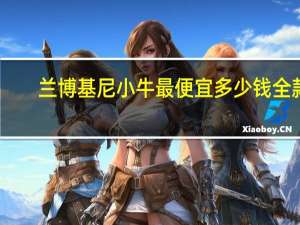 兰博基尼小牛最便宜多少钱全款（兰博基尼小牛最便宜多少钱?）