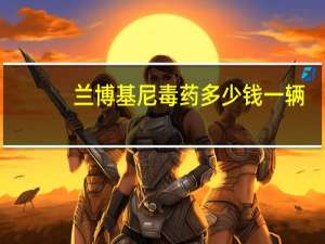 兰博基尼毒药多少钱一辆（兰博基尼毒药多少钱）