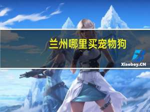 兰州哪里买宠物狗