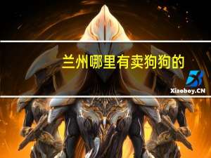 兰州哪里有卖狗狗的