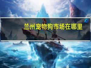 兰州宠物狗市场在哪里