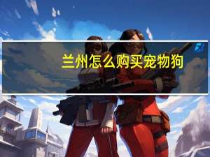 兰州怎么购买宠物狗