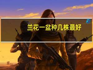 兰花一盆种几株最好