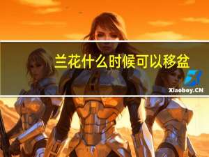 兰花什么时候可以移盆