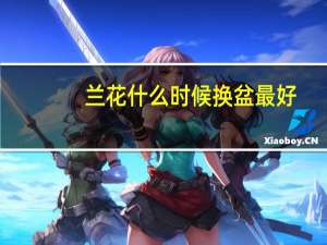 兰花什么时候换盆最好