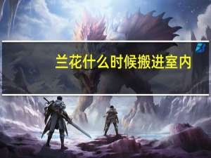 兰花什么时候搬进室内