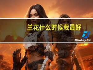 兰花什么时候栽最好
