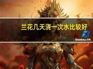 兰花几天浇一次水比较好