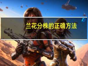 兰花分株的正确方法