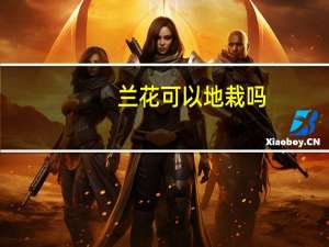 兰花可以地栽吗